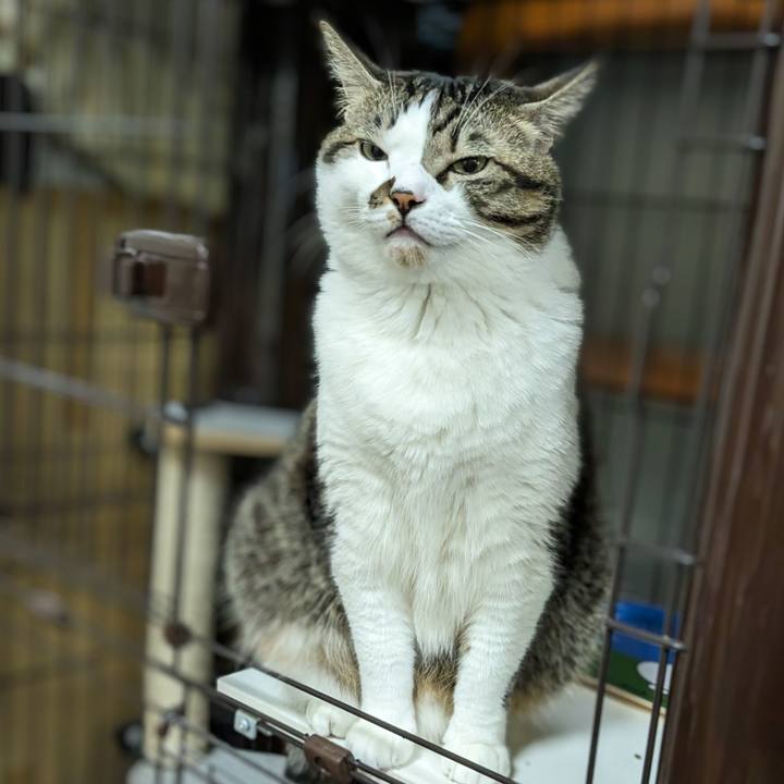 E4c178ae 7fa8 45d4 9a92 a1177f579d75 1699276771469