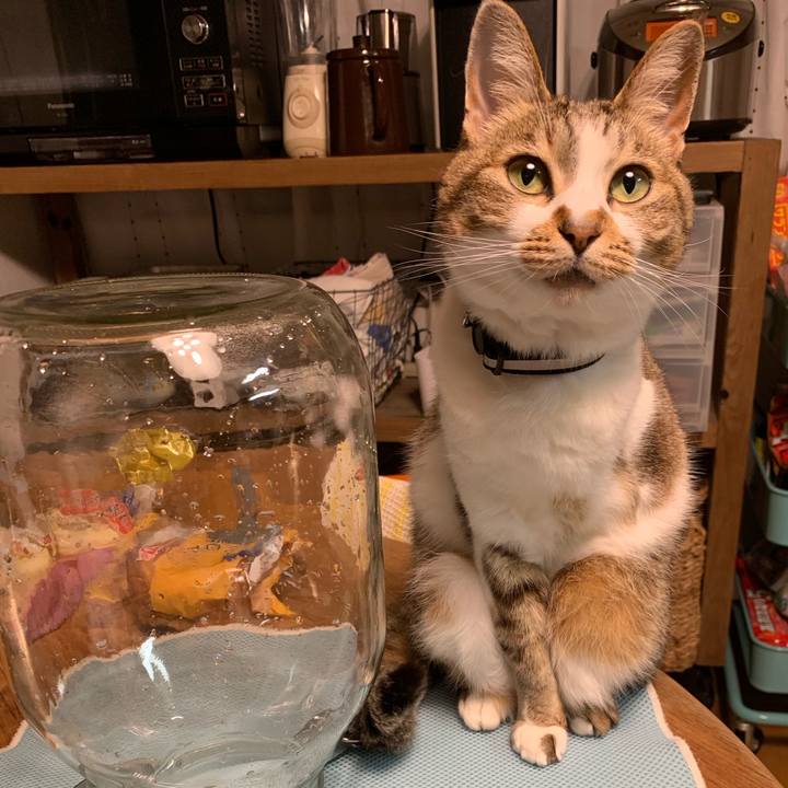 E4c182c6 ee12 4c83 939e 8e5d0c0c789a 1592408194447