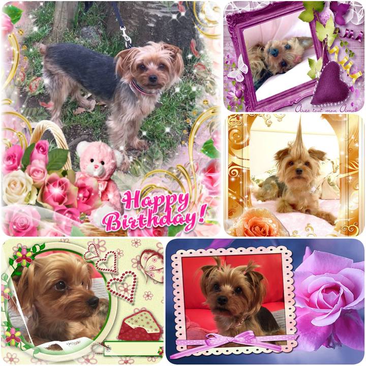 E4c1c735 63c1 46a3 808a 56d05adc3cb0 1589217593059