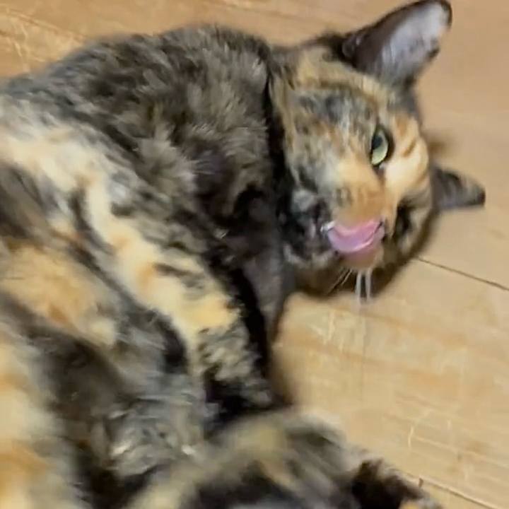 E4c1e92e 9345 45ba b8ad 6e1324fbc1bd 1752288566426