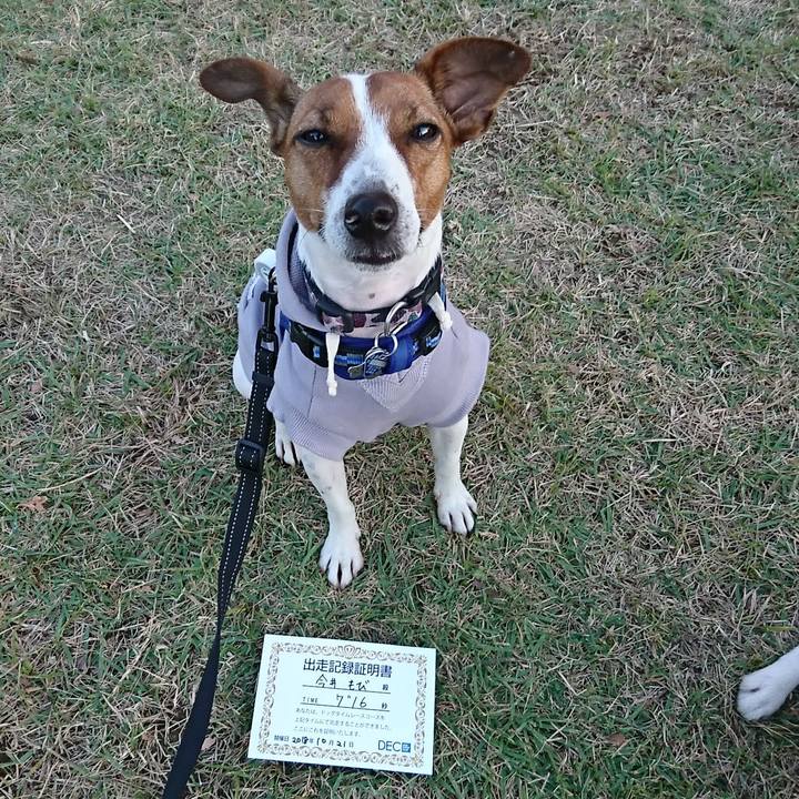 E4c1f78e c038 485b 810a 1e8f41beec37 1540110039409