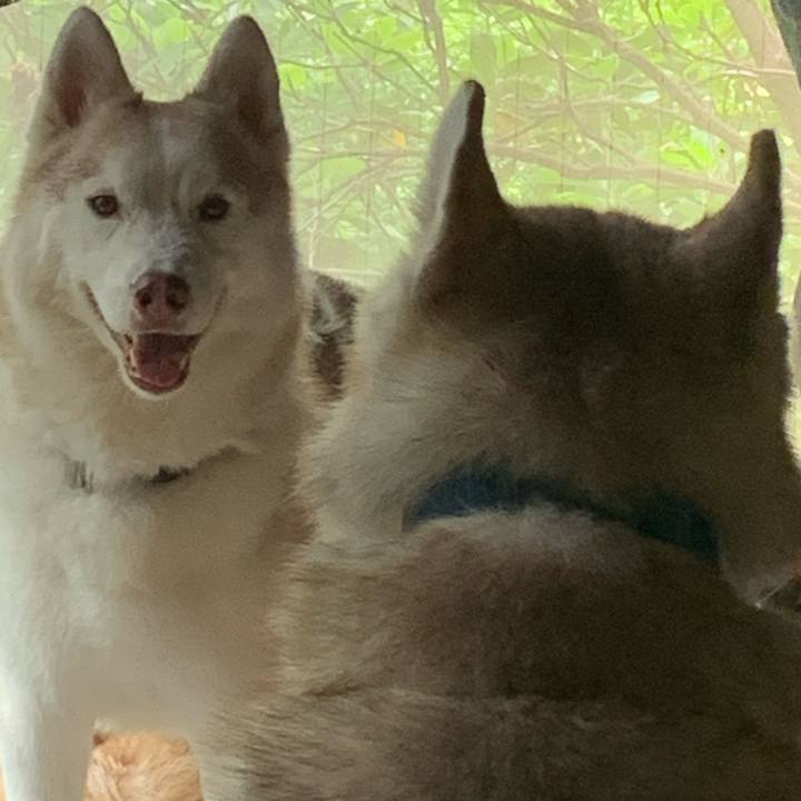 E4c2277e 3499 4f74 abaa a8063618fa37 1592130050983