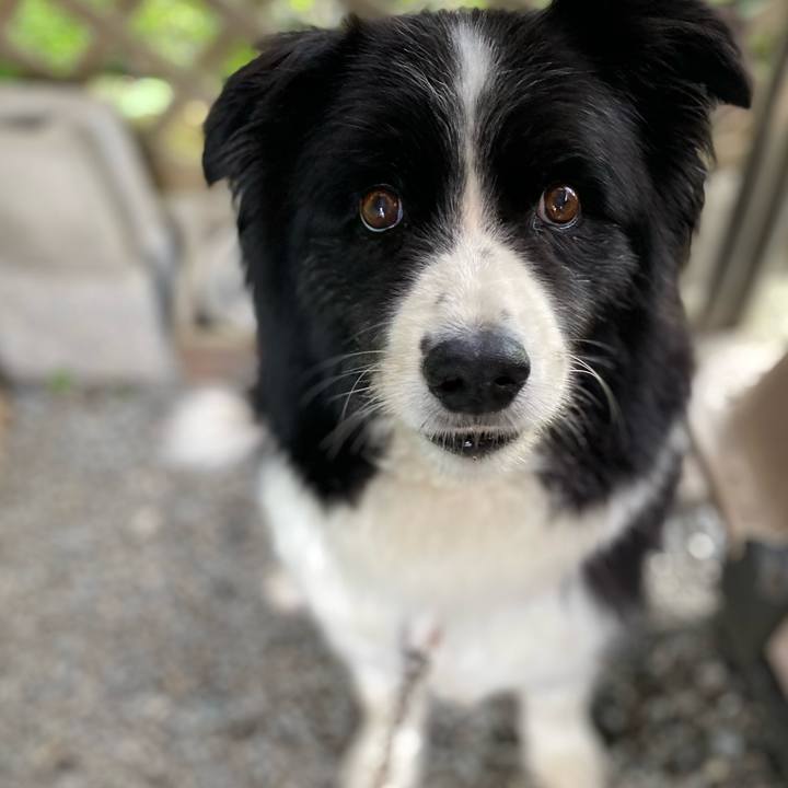 E4c2845b eaa6 42e5 8778 7cc1403c9488 1692067038967