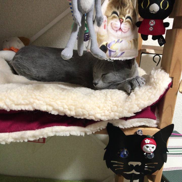 E4c28ed6 f21a 4812 8931 c3bd8f6f0385 1511696790181