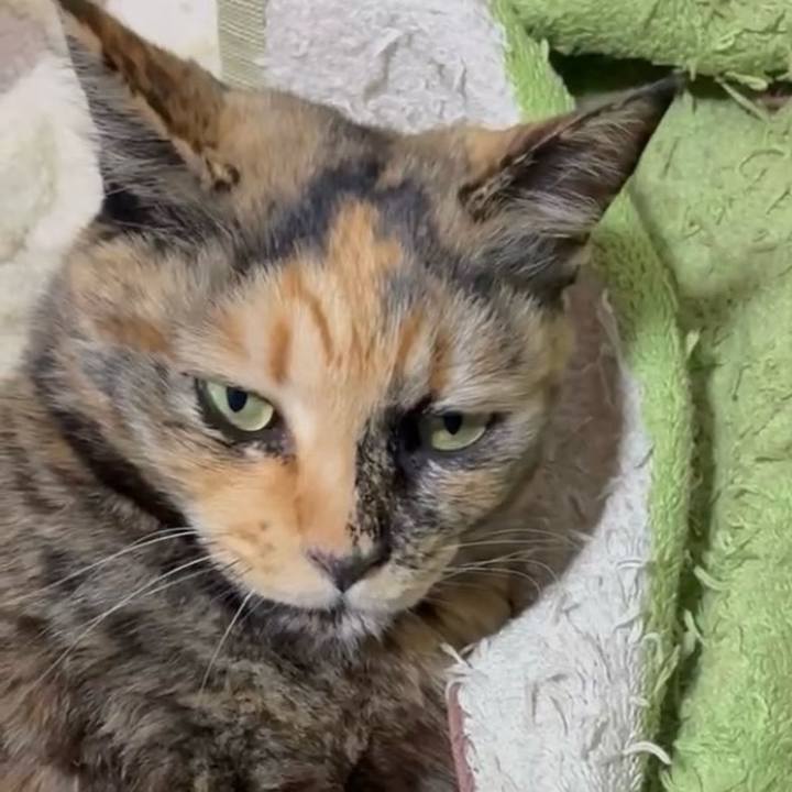 E4c2b11e 785c 4e60 b079 f1cd9661fa18 1771361126427