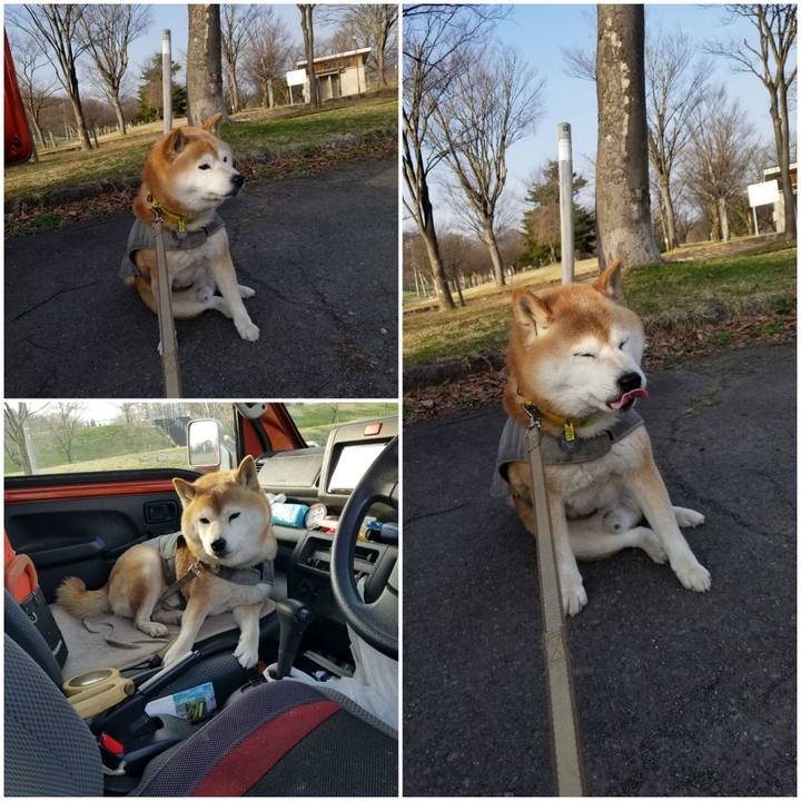 E4c2d2e9 352f 4b39 82fd 3074994e9b5f 1680248679490