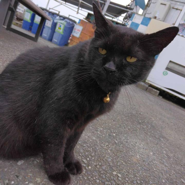 E4c3012f ea70 4650 8cea 3a4ec6623eb8 1689379655738