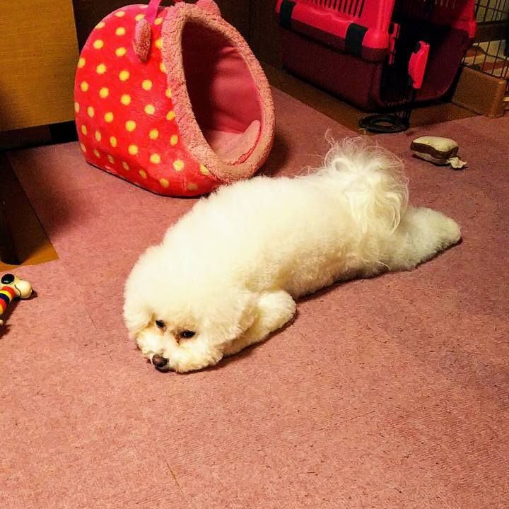 E4c36485 1afd 4a21 85ed 5222fec37793 1553747391096