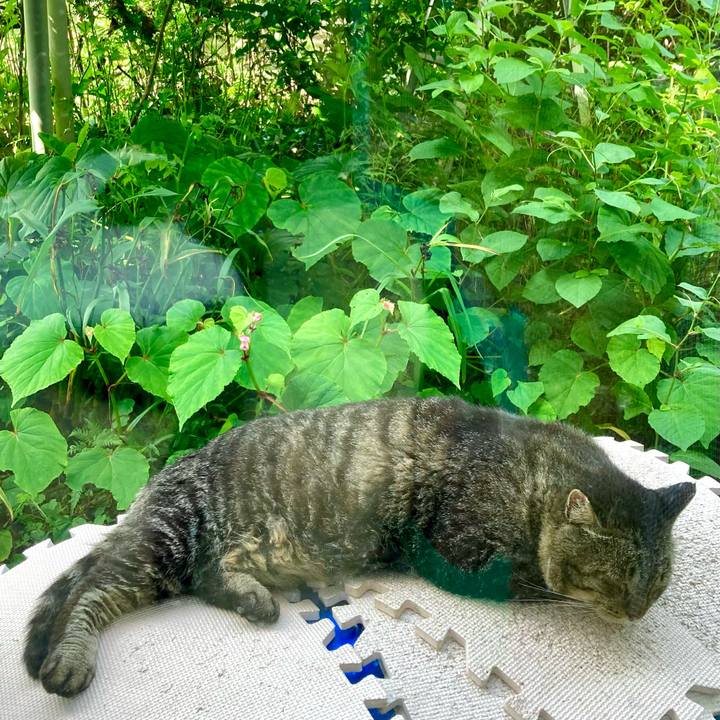 E4c36886 7118 4307 8322 6901a1164e6b 1658652044884