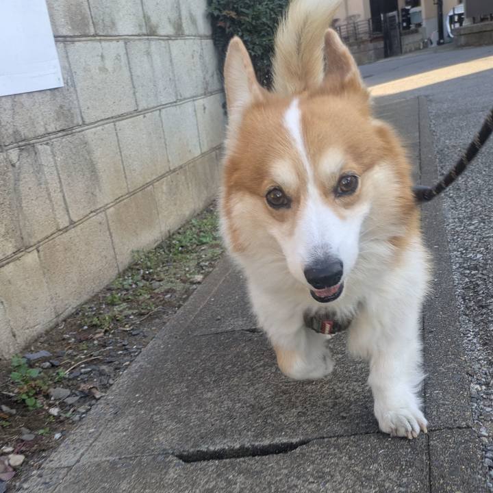 E4c3aa92 a362 4603 be5c 747617d02b1d 1763348614794