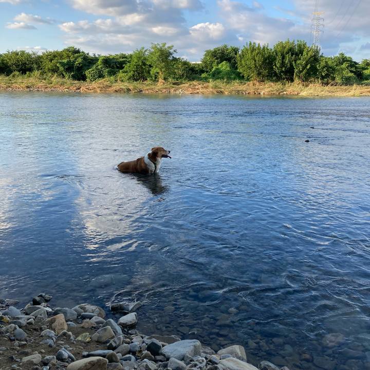 E4c3c124 fa3f 435e a4be 748e290cd747 1725584146178