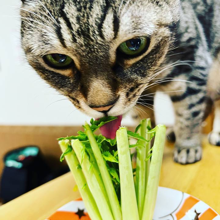 E4c3f783 a097 465d 9459 6b16073669df 1640526473584