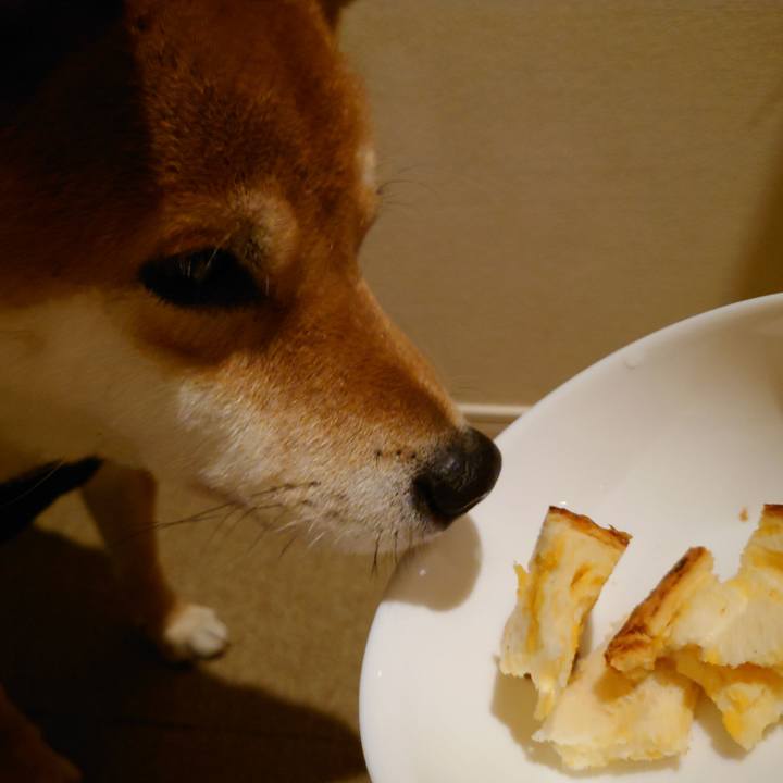 E4c40b73 4ee6 46bd 9c2e e861d180edee 1764286175069