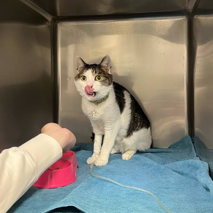 E4c41809 e793 4f1b b7b7 ba9472f51721 1764404195139