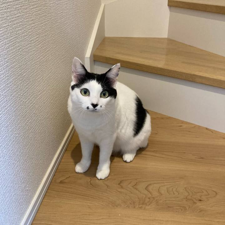 E4c43021 b01e 4640 bba4 8440ef295530 1760473565196