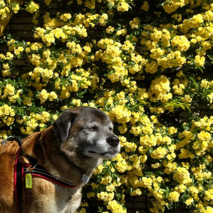 E4c46273 3d1f 4acd bc15 6be39a53d8d5 1523578967300