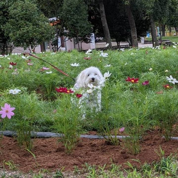 E4c46d5f 8340 41ed 90bb f63f900638cf 1632578504551