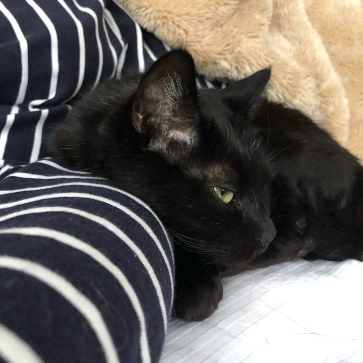 E4c491d5 5a3a 47d4 8ed1 3ed3f6d7d249 1583050771308