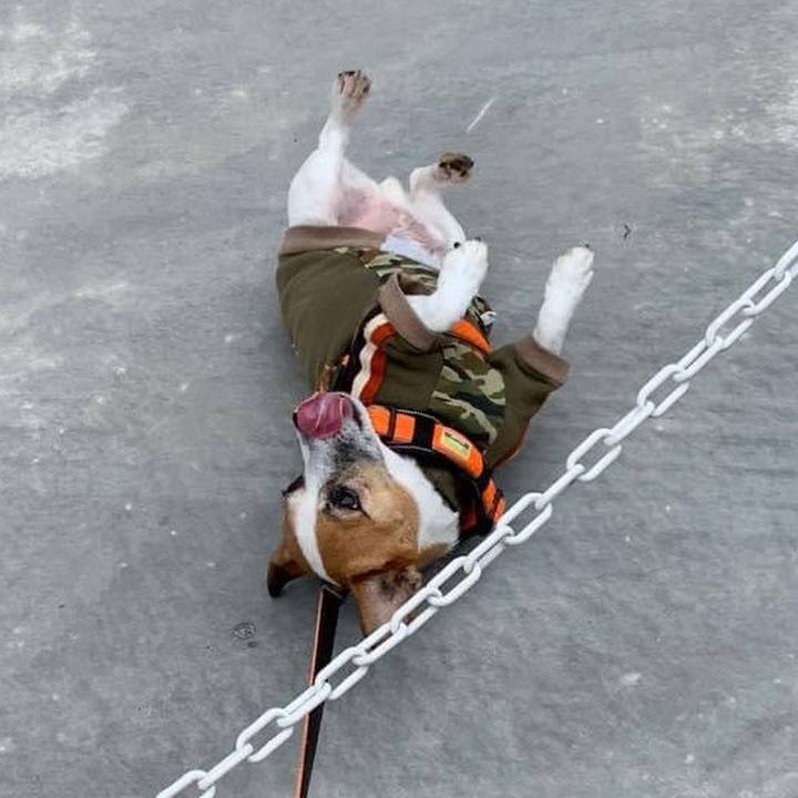 E4c5015f ee3b 4342 a932 1dbd79ae77e5 1697025869247