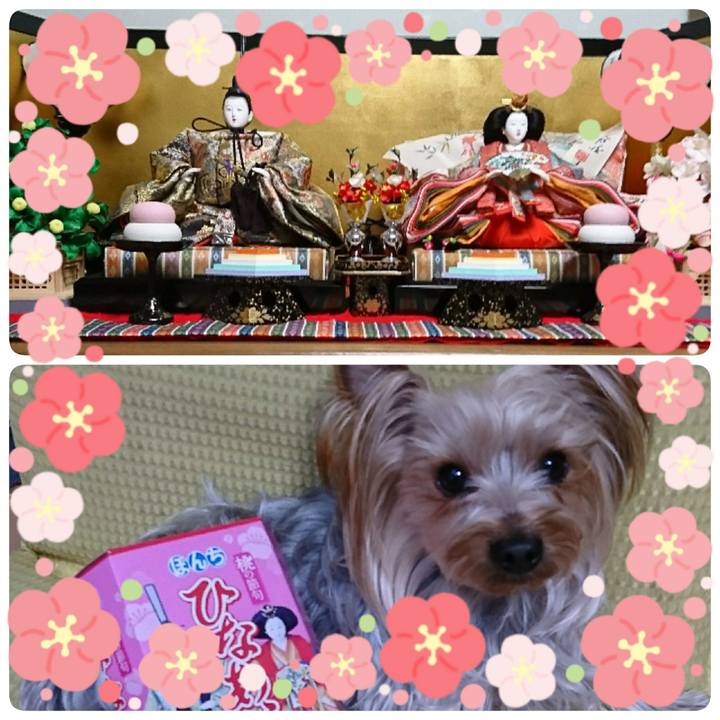 E4c51330 af6a 4e9f b1e0 1298b77aba42 1551598345466