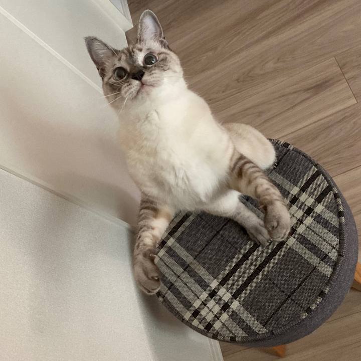 E4c52a40 6228 4b2b b576 42b2dfe6f59b 1600909762722