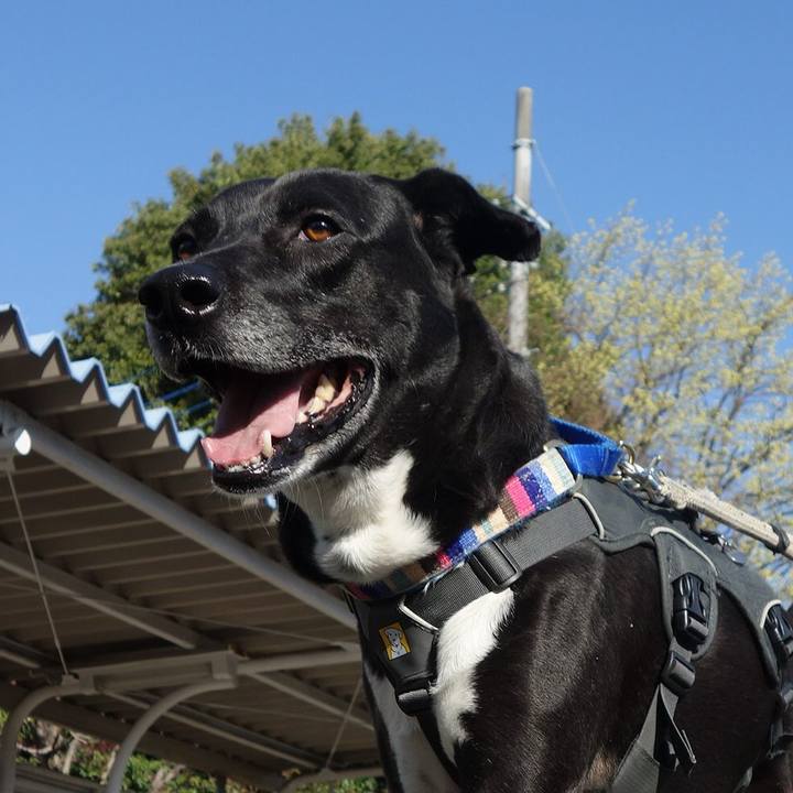 E4c53803 6920 49d0 854a 8bbffbc20e00 1649379194161