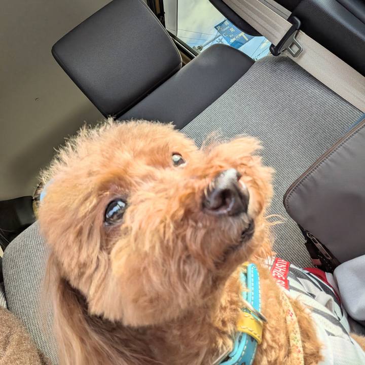 E4c57394 5dae 4c12 83e0 f9f6c1df3603 1766981672820