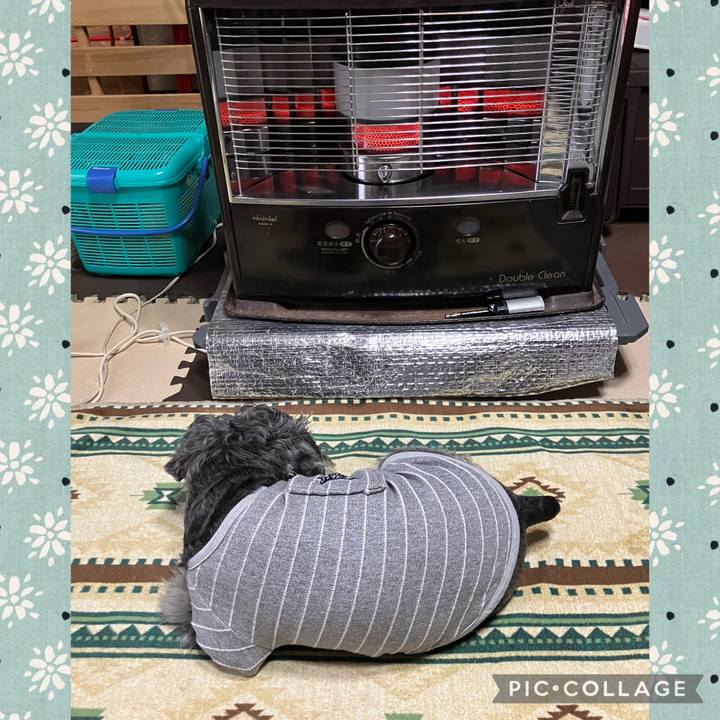 E4c5783c 1919 4953 849b 9d65c2531d6d 1733018280196