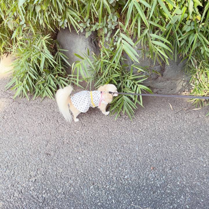 E4c57f64 9362 472c 92b7 729743d2159d 1752978091237