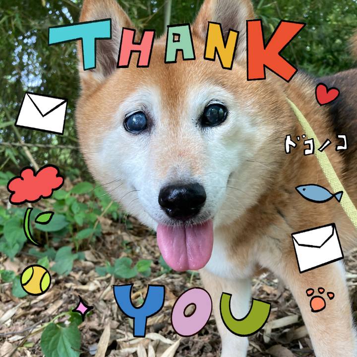 E4c589fa a3df 40cb aa93 9fea8a022a12 1714951315696