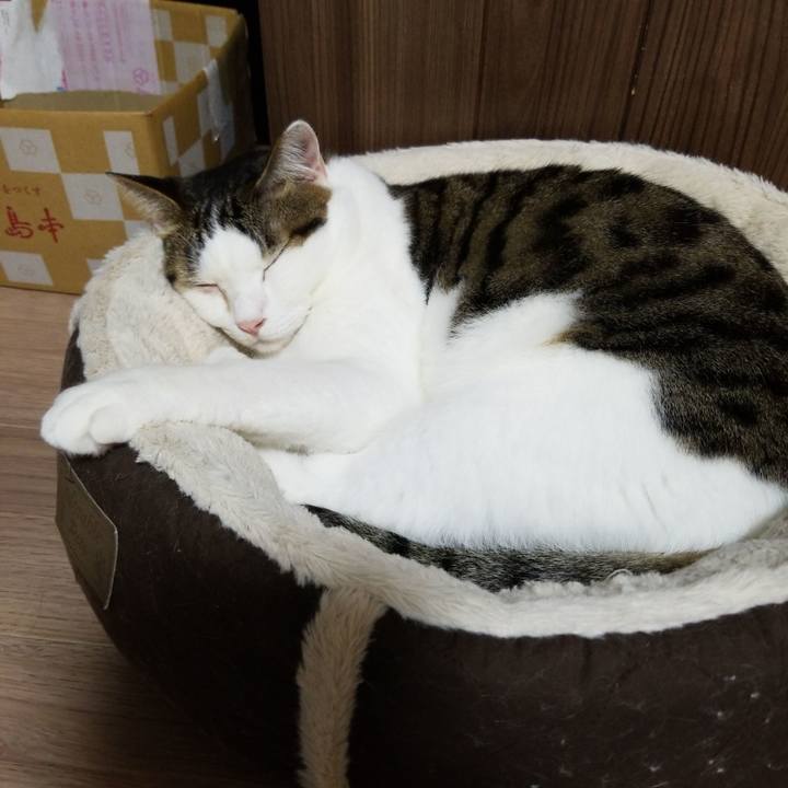 E4c5b82c 5769 4cea 8bcc 7e9910f64ed1 1571173856858