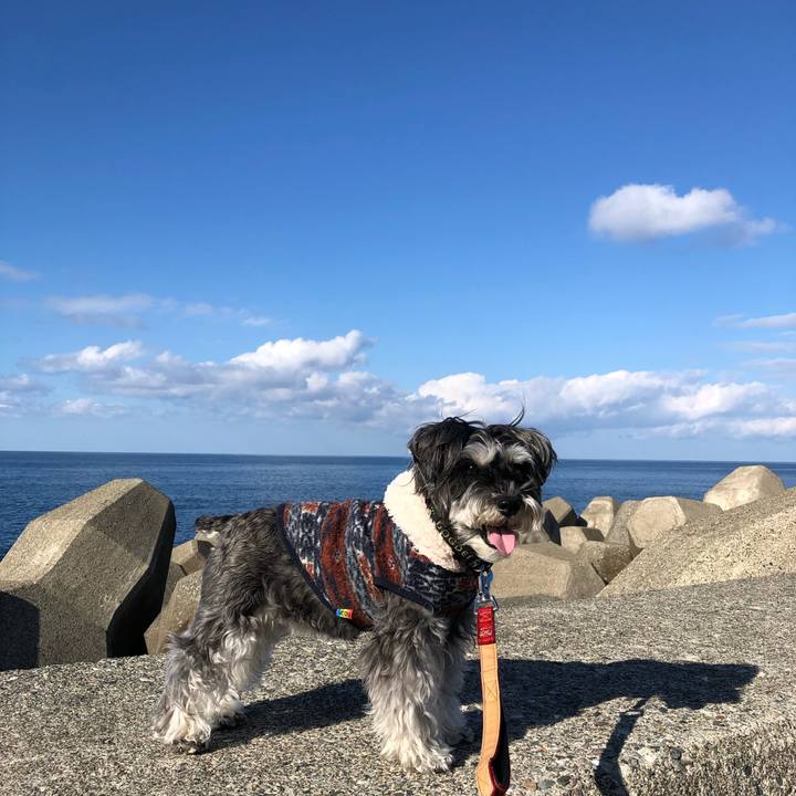 E4c62f8c 7f5e 48d4 a96b 8952fe81a328 1707737169422