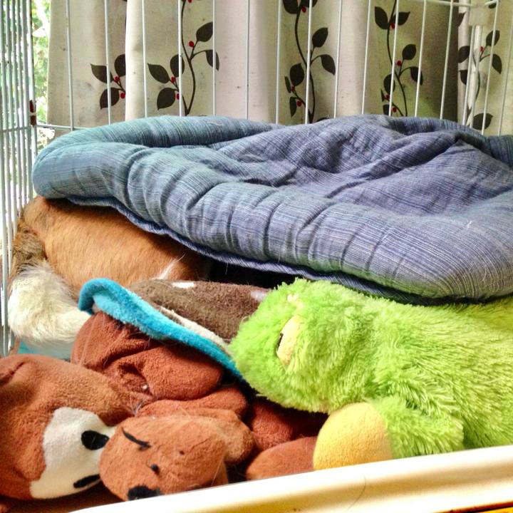 E4c652e5 003c 4aad 99b9 d19178f19417 1756074686884