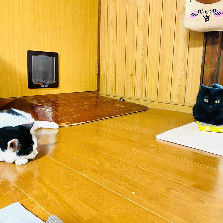 E4c66fed 07d1 4df9 b09d 1f49a29d5a55 1691311982944