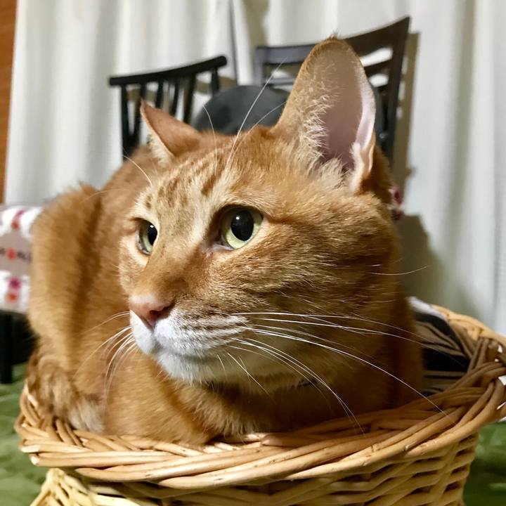 E4c6701e b12c 4017 be5e f6f3e0768912 1518441825899