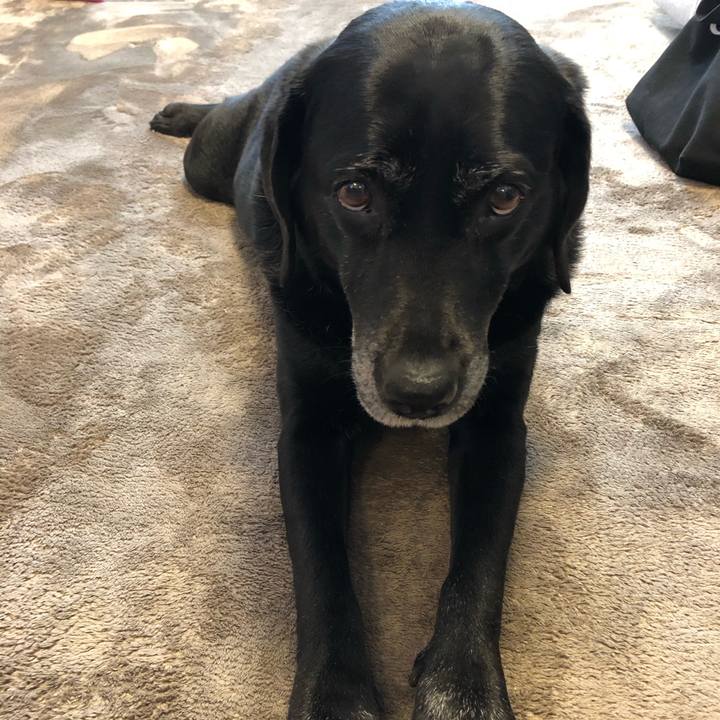 E4c69244 f03c 4e42 9d7c a1421d4b81d4 1576631667683