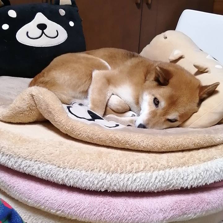 E4c6d71f 707f 472d a680 96a55647a8f5 1583248875661