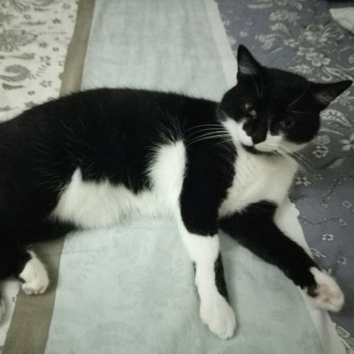 E4c6e514 f362 4c37 9278 4864a68970a9 1513449298532