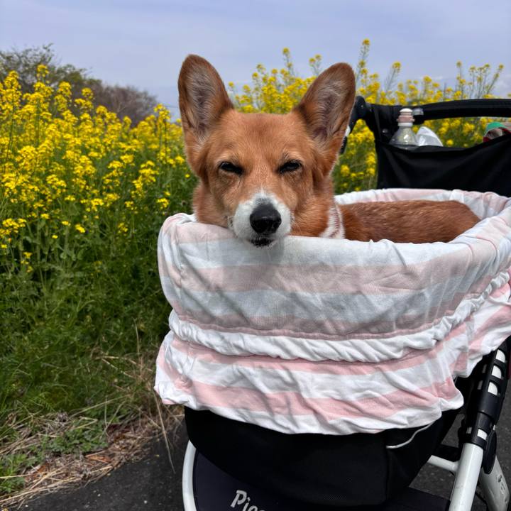 E4c6f73f d29b 40f0 9ef6 3843ca21571f 1744336875327