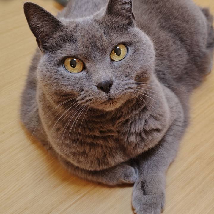 E4c6f7b5 d694 4ffd 8380 ab72548010e6 1776518064944