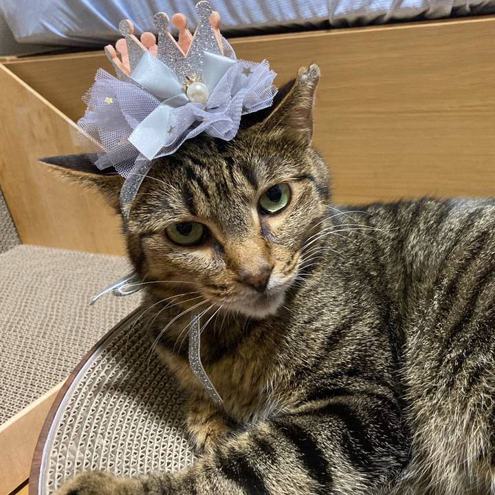 E4c70b43 0fc5 4281 88b3 19fe7bfde9a4 1696933658111