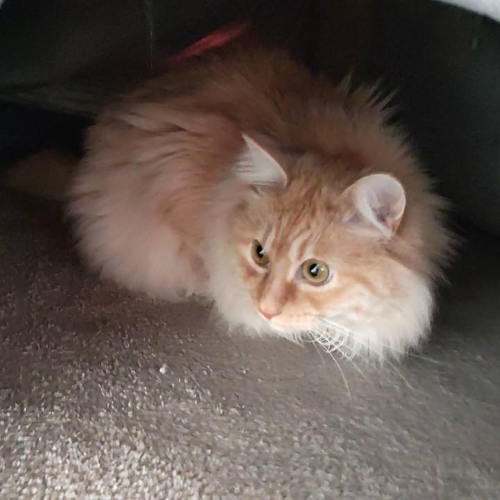 E4c70e31 c26f 4d9d 85ed 17b27d8130d9 1710293226335