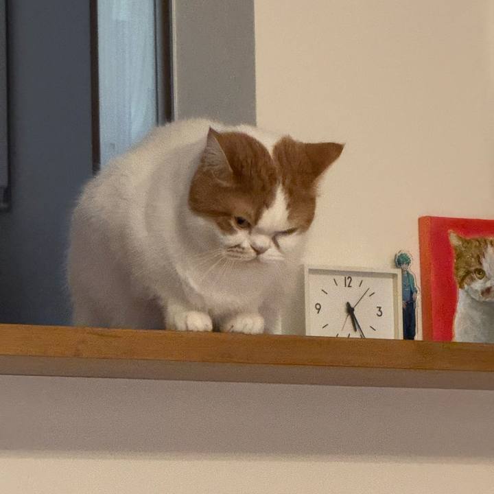 E4c71b85 6a26 4205 a1d9 394d49faf9e8 1771661373551