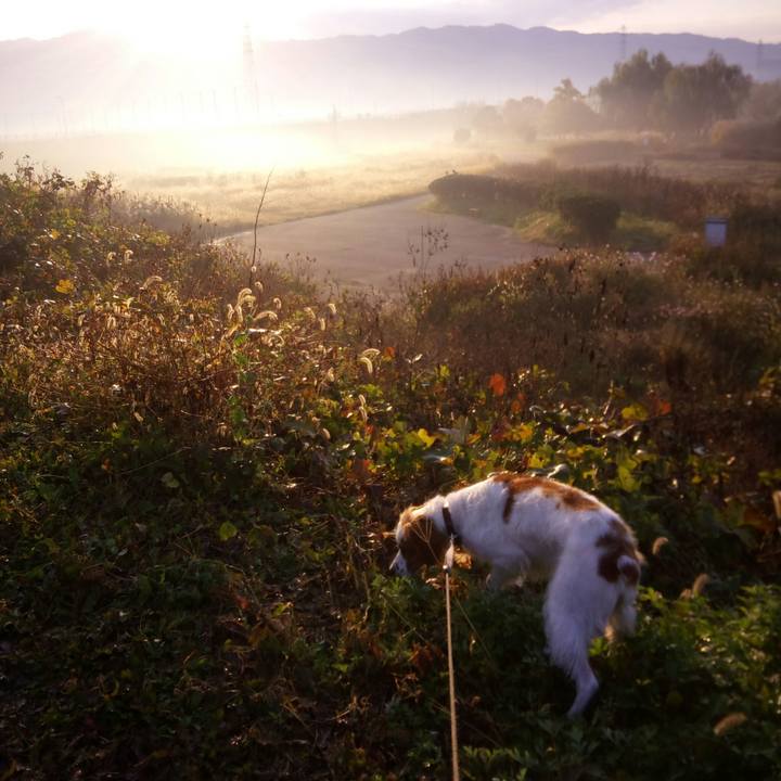 E4c75a95 6ee8 4a7d 82b1 4f2e1b1f0161 1511741372343