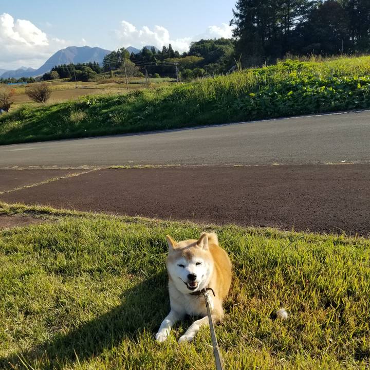 E4c765b0 fe56 4c9f bffb d49550ebba90 1698127860345