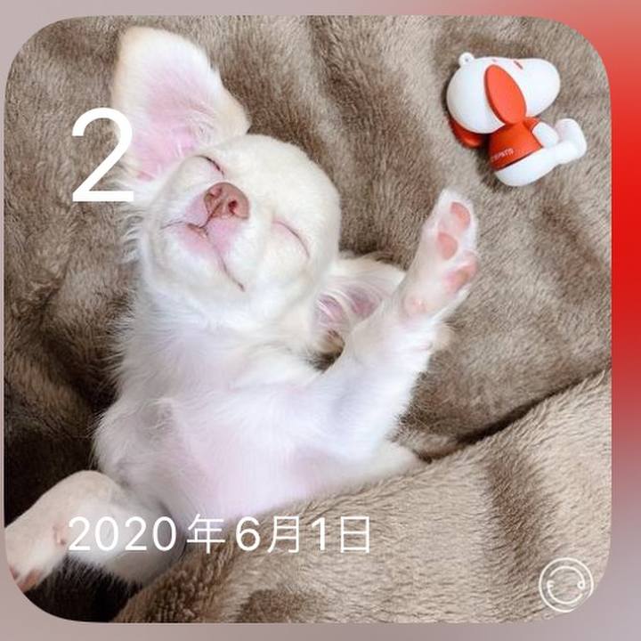 E4c76a0d b292 48f2 98e6 3832f68fdbd8 1717334314764