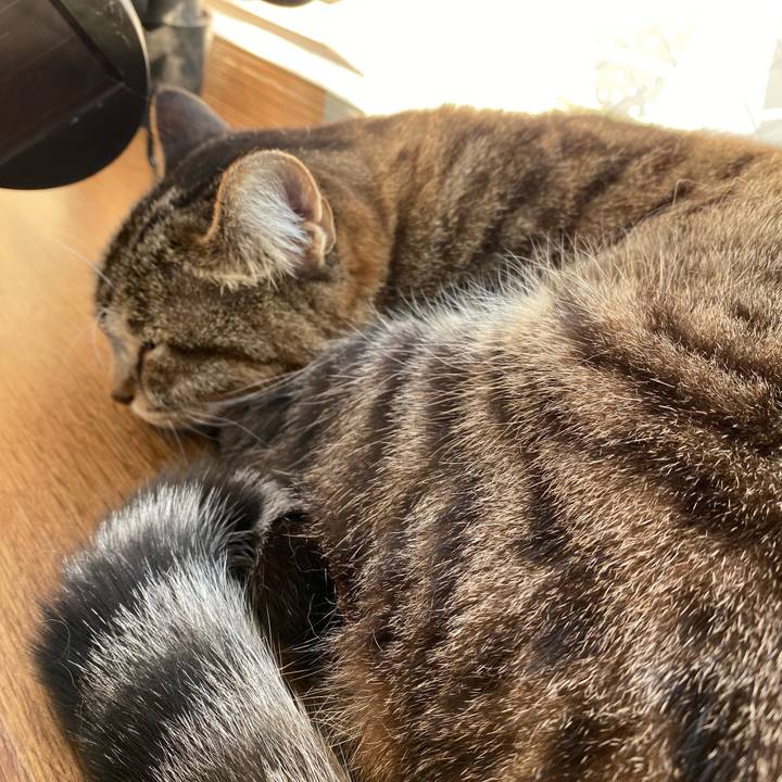 E4c77bf1 3076 40ad 90b4 4840a301e47a 1612266759303