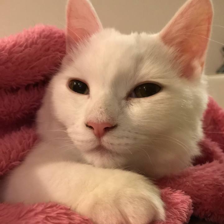 E4c78924 14f9 4fba 85f0 be803ad7d6ab 1511094707857