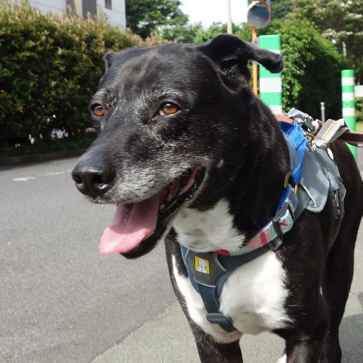 E4c7a883 7883 4929 8743 0b18ad47c735 1748479587346