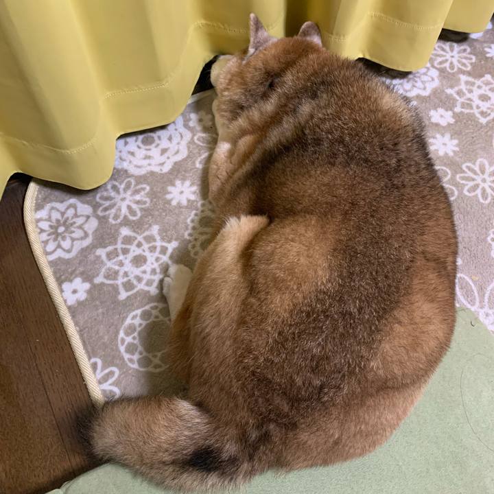 E4c7fe44 046d 4ac4 978d 03d49cbdacb4 1682592316796